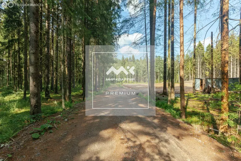 Участок в Зеленогорск, Лесная улица (24 м) - Фото 0
