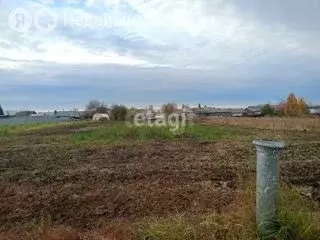 Участок в Свердловская область, Ирбитское муниципальное образование, ... - Фото 2