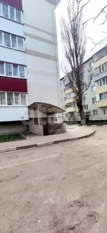 Помещение свободного назначения в Белгородская область, Белгород ... - Фото 2
