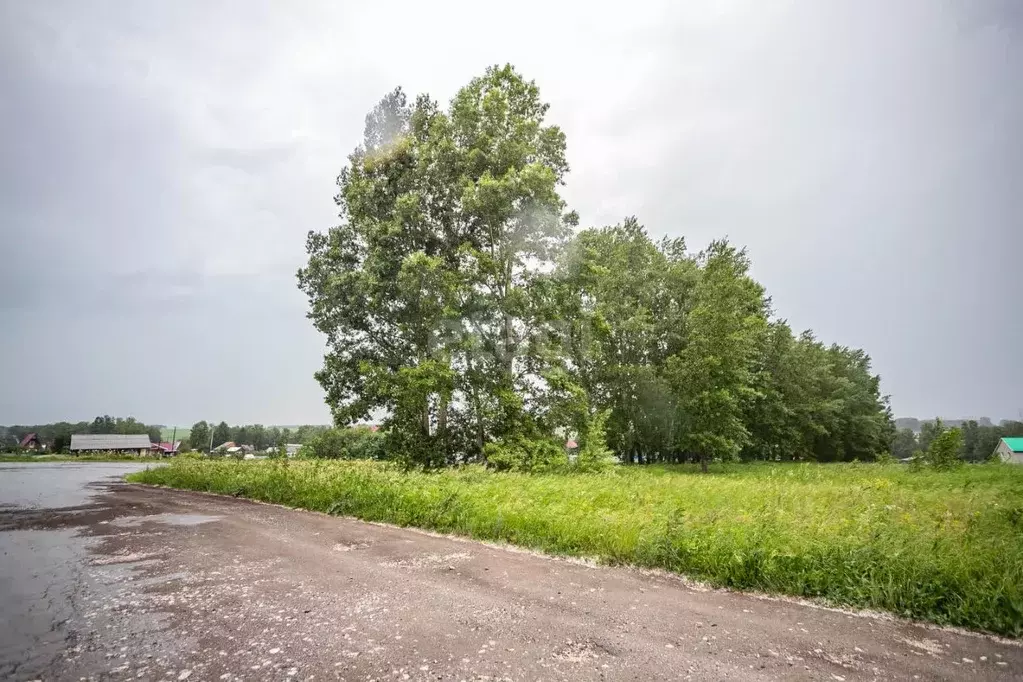 Участок в Новосибирская область, Искитимский район, пос. ... - Фото 1