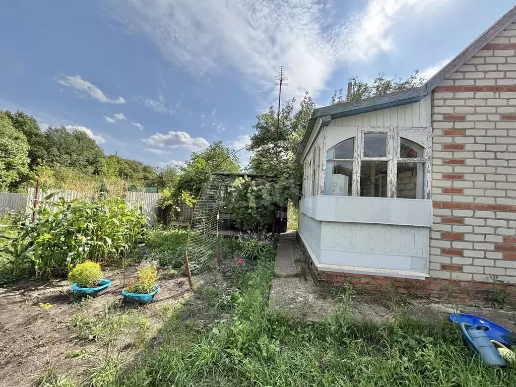 Дом в Белгородская область, Строитель Яковлевский городской округ, ул. ... - Фото 1