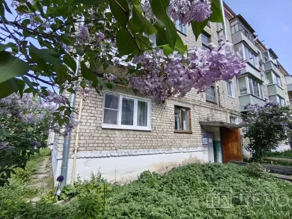 1-к. квартира, 31 м, 1/4 эт. - Фото 0