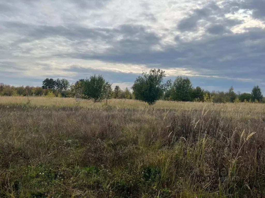Участок в Татарстан, Лаишевский район, Рождественское с/пос, д. ... - Фото 2