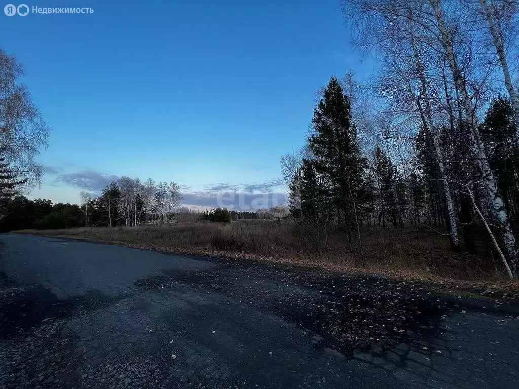 Участок в Искитимский район, деревня Бурмистрово (980 м) - Фото 0