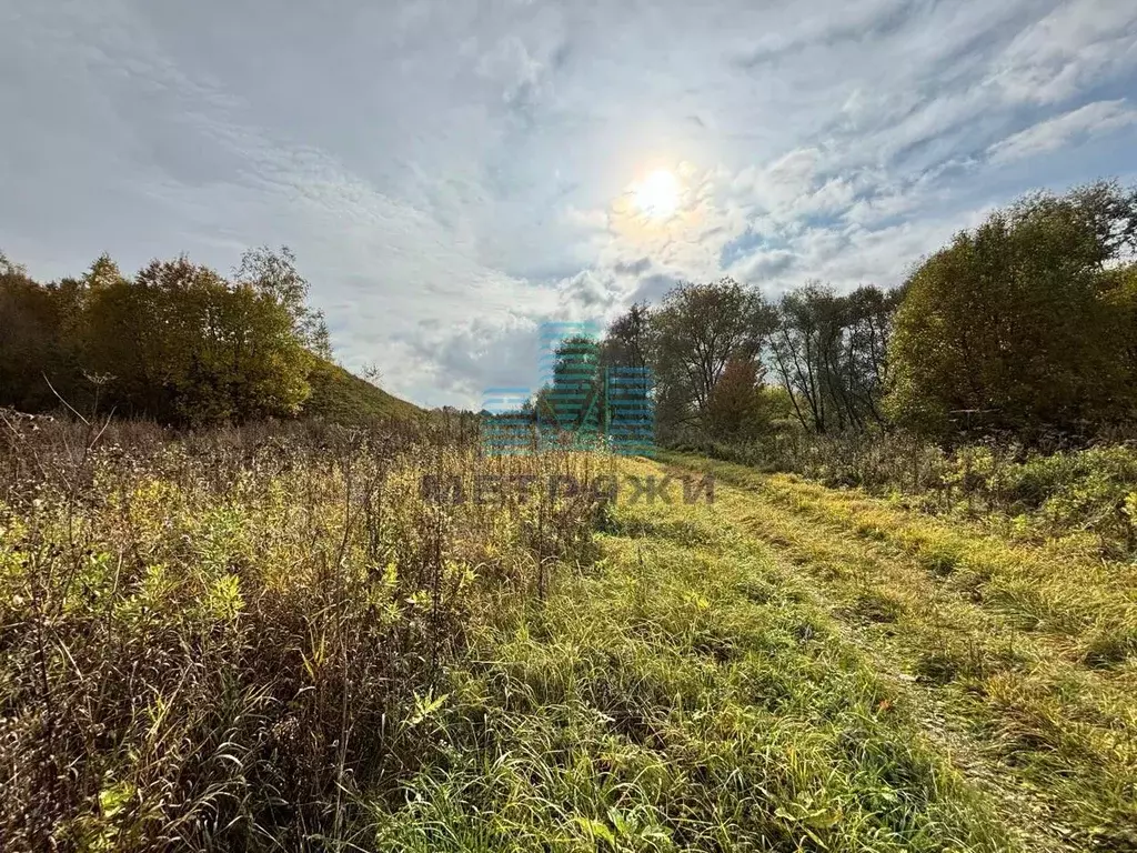 Участок в Калужская область, Перемышльский муниципальный округ, ... - Фото 1
