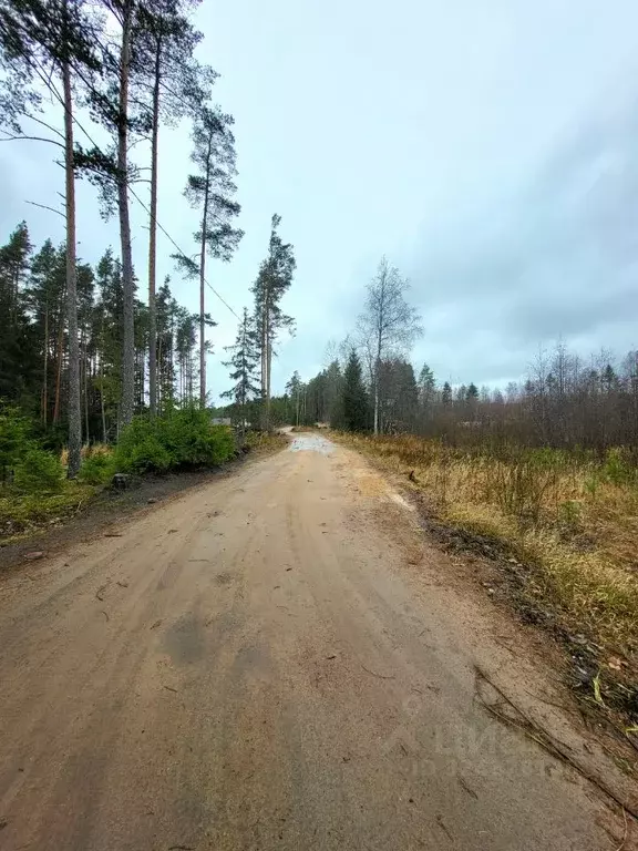 Участок в Карелия, Питкяранта пер. Боровой (14.5 сот.) - Фото 1