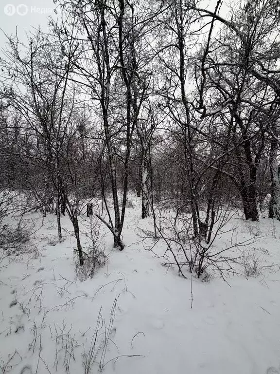 Участок в Волгоград, СНТ Электромонтажник (7.52 м) - Фото 2