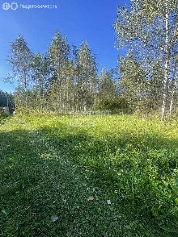 Участок в посёлок городского типа Черусти, Новая улица (10 м) - Фото 1