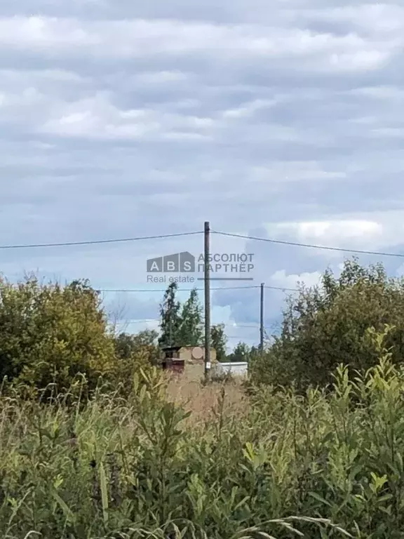 Участок в Новгородская область, Новгородский район, Ермолинское с/пос, ... - Фото 2