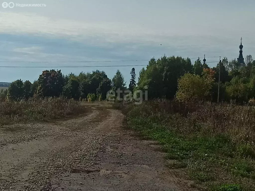 Участок в Оршанский район, Марковское сельское поселение, село Кучка ... - Фото 1