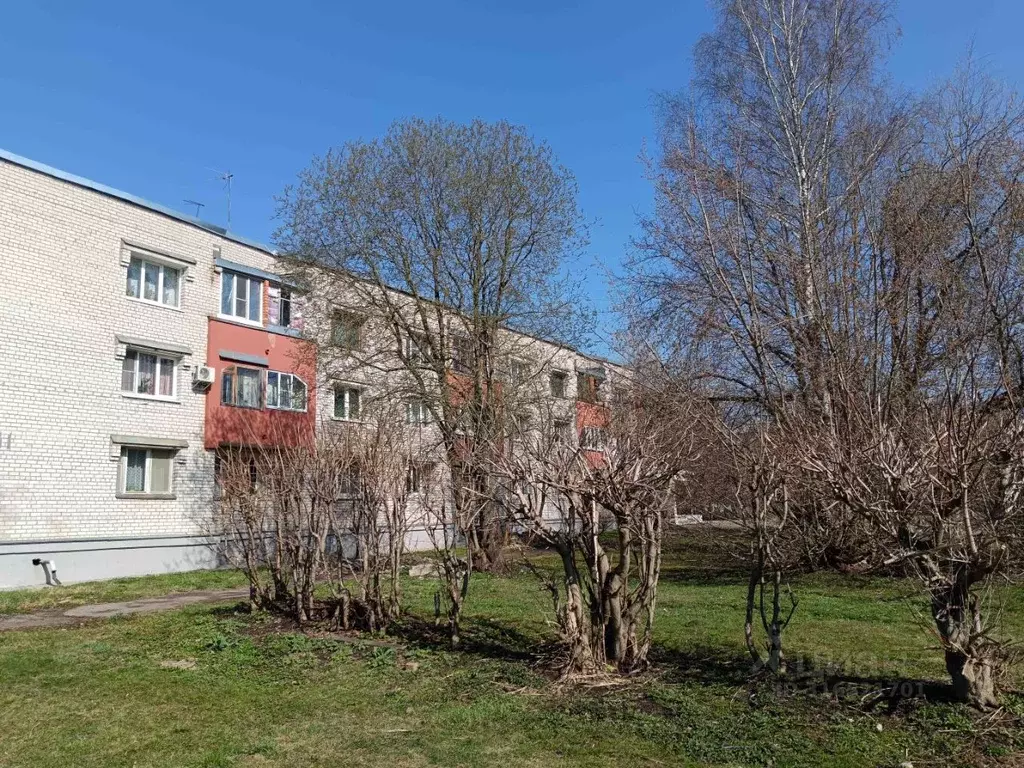 1-к кв. Псковская область, Псков Первомайская ул., 31 (29.1 м) - Фото 1