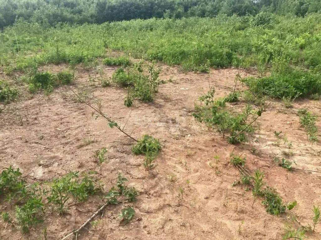 Участок в Свердловская область, Ревда городской округ, с. Кунгурка ул. ... - Фото 0