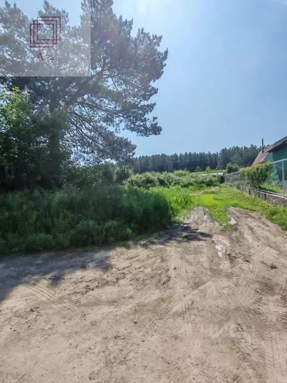 Участок в Алтайский край, Барнаул городской округ, Ползуново ст. ул. ... - Фото 0