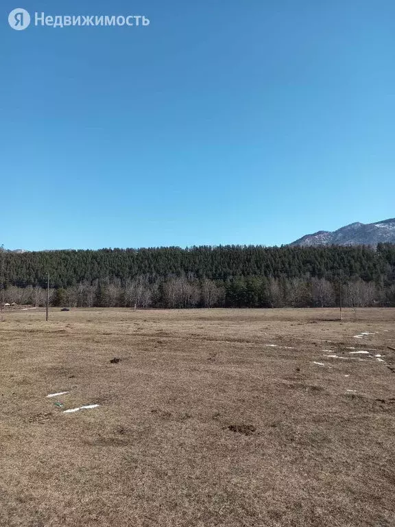 Участок в Чемальский район, село Аюла (30 м) - Фото 0