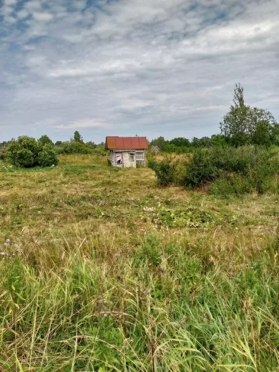 Участок в Новгородская область, Новгородский район, Ермолинское с/пос, ... - Фото 1