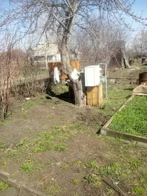 Участок в Челябинская область, Магнитогорск Машиностроитель садовое ... - Фото 1