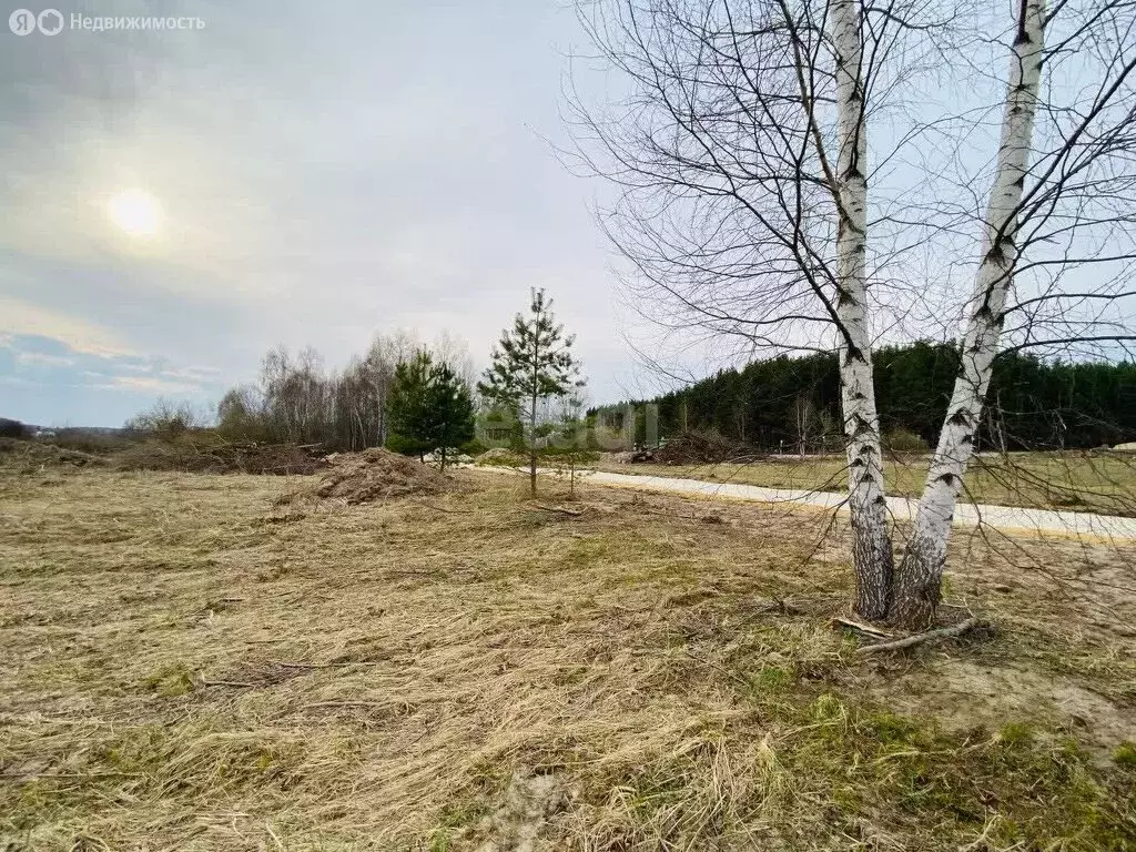 Участок в округ Муром, деревня Макаровка (12.4 м) - Фото 1