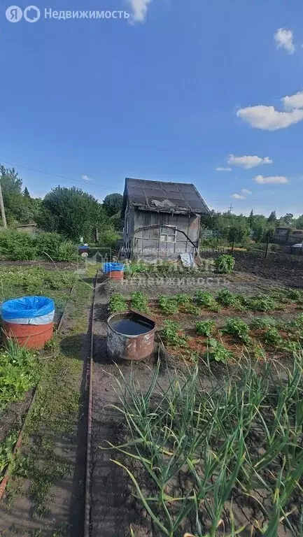 Участок в Кемерово, СНТ Отделение Южное (3.8 м) - Фото 0