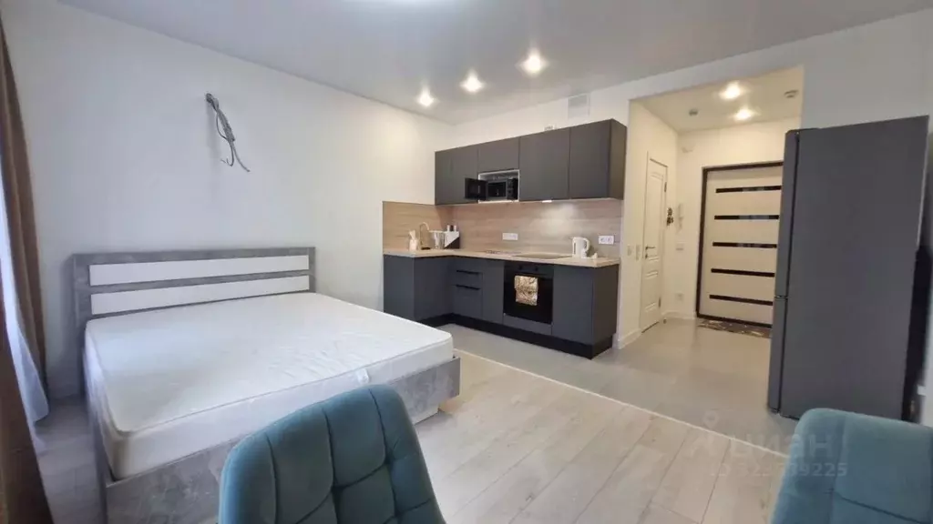 Студия Московская область, Пушкино ул. Александра Меня, 5 (26.0 м) - Фото 1