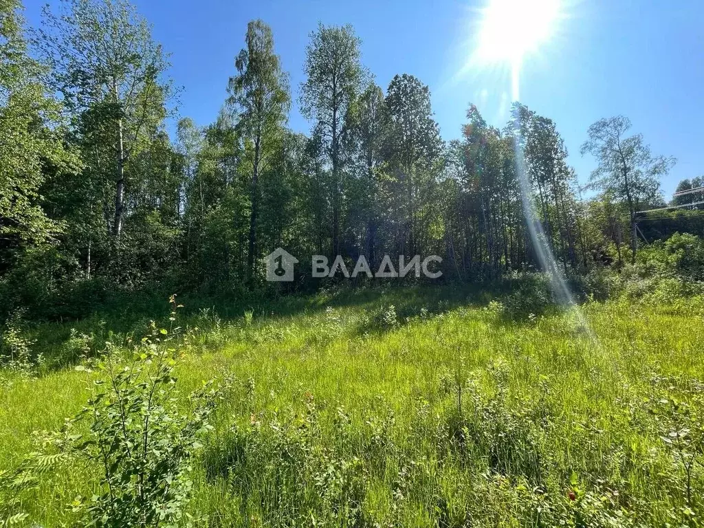 Участок в Ленинградская область, Всеволожский район, Куйвозовское ... - Фото 1