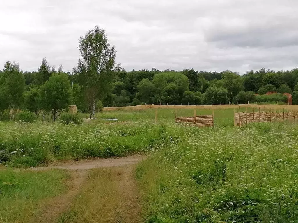 Купить Участок Юрково Сокольский Район Нижегородская Область