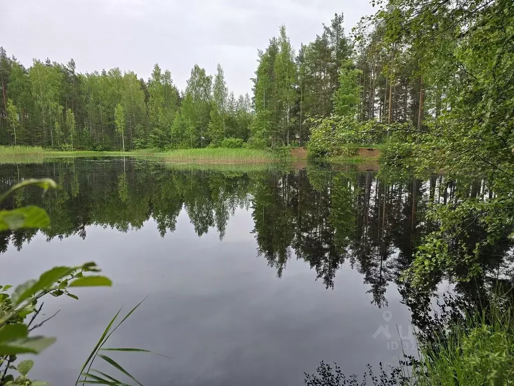 Дом в Ленинградская область, Всеволожский район, Рахьинское городское ... - Фото 1