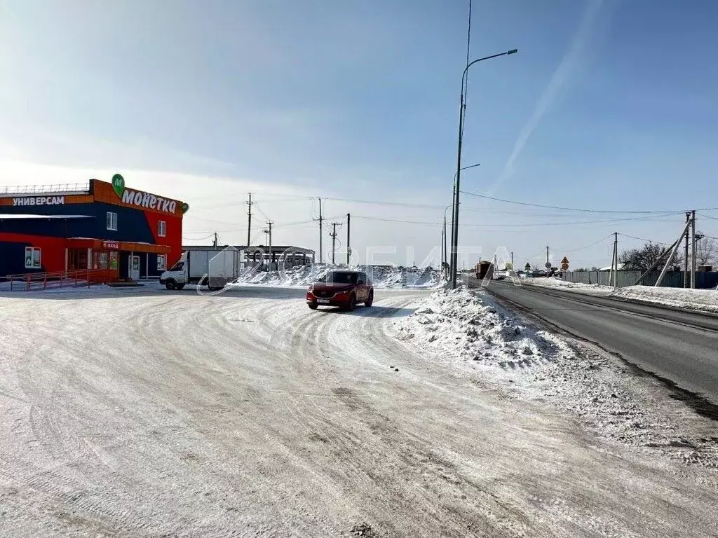 Участок в Тюменская область, Тюменский муниципальный округ, д. ... - Фото 2