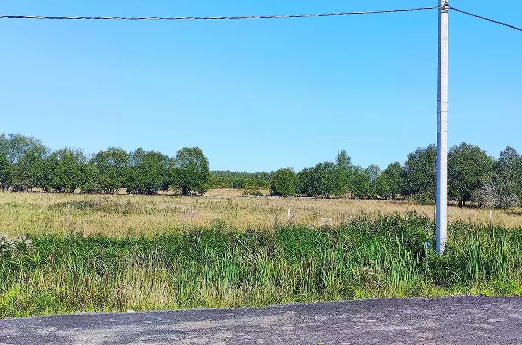 Участок в Ленинградская область, Всеволожский район, Романовское ... - Фото 0