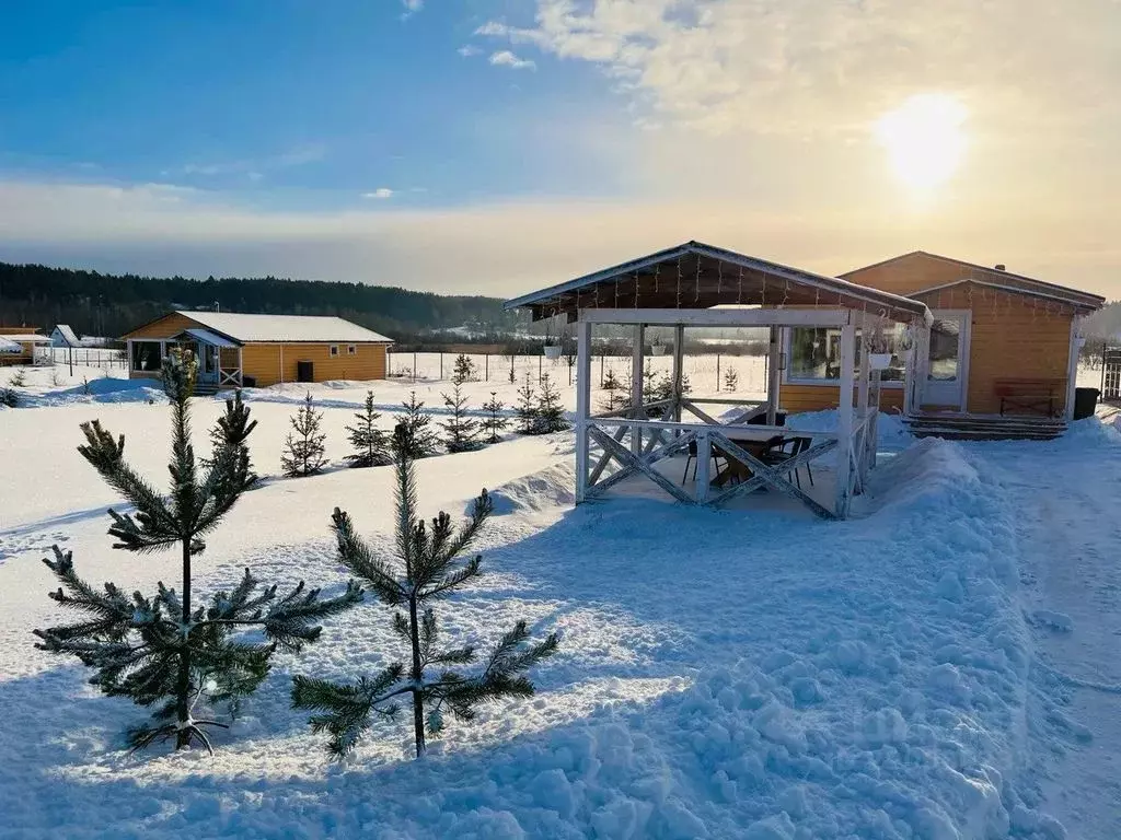 Дом в Карелия, Лахденпохья  (45 м) - Фото 2