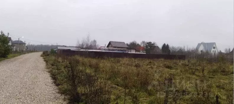 Участок в Московская область, Чехов муниципальный округ, д. Панино ул. ... - Фото 1