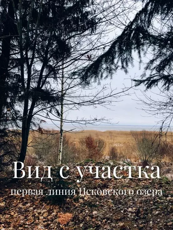 Участок в Псковская область, Печорский муниципальный округ, д. Лисье  ... - Фото 1