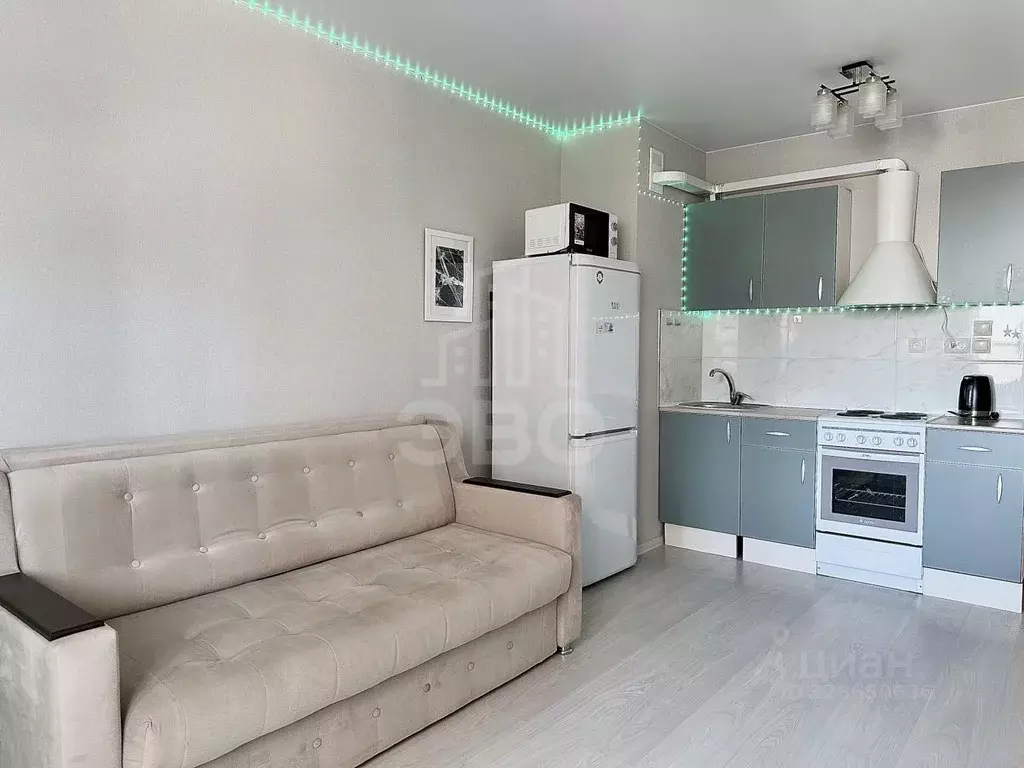 Студия Санкт-Петербург пос. Парголово, ул. Шишкина, 303к1 (25.0 м) - Фото 1