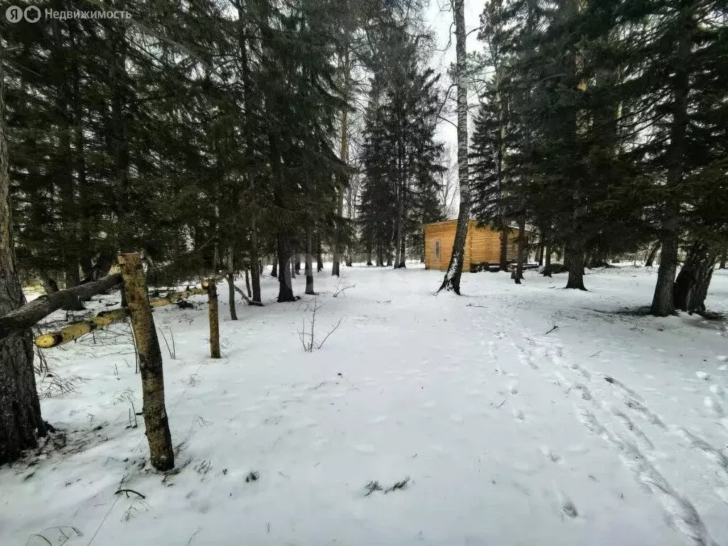 Участок в городской округ Красноярск, посёлок Элита (32.7 м) - Фото 2