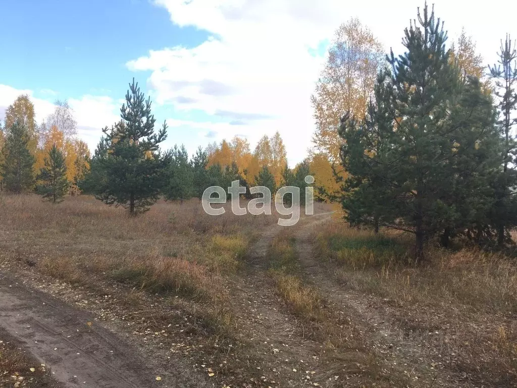 Участок в Курганская область, Курган с. Зайково,  (4.0 сот.) - Фото 0