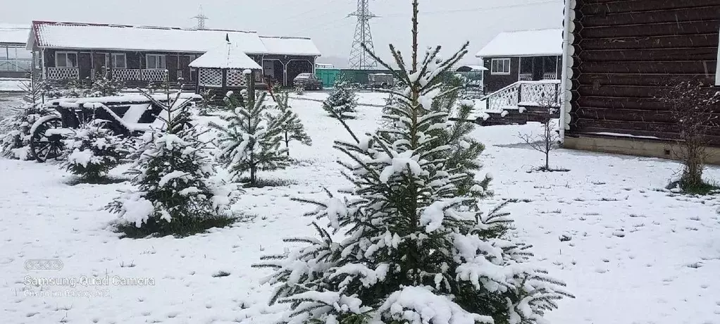 Дом в Ярославская область, Ярославский муниципальный округ, Базы ... - Фото 2