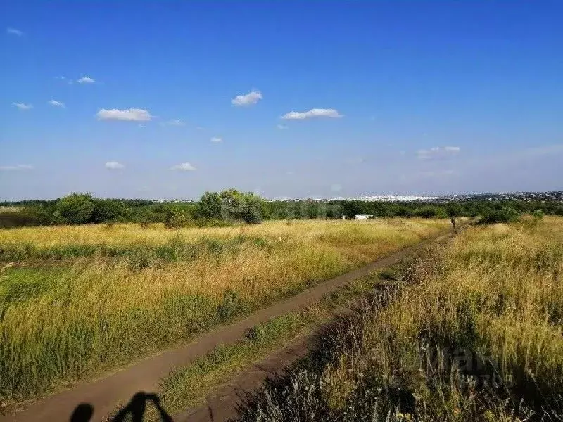 Участок в Белгородская область, Белгород Сухой Лог-93 СТ, 22 (10.0 ... - Фото 1