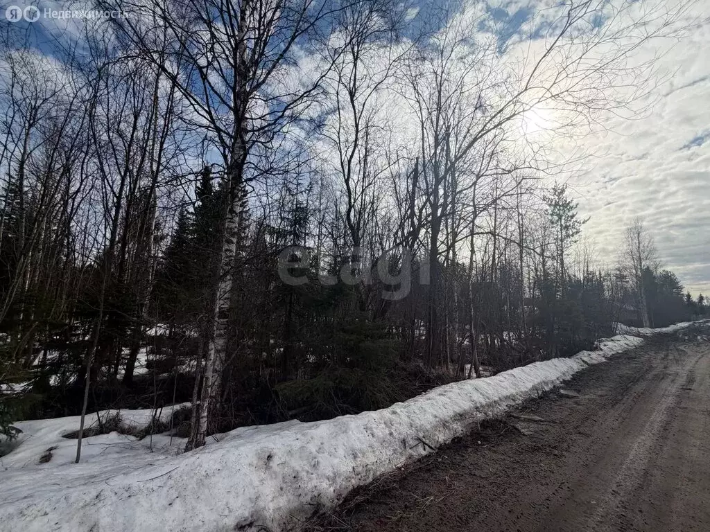 Участок в Архангельская область, Приморский муниципальный округ, СНТ ... - Фото 2