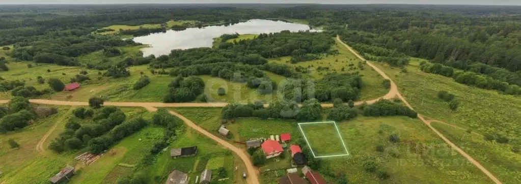 Участок в Новгородская область, Демянский муниципальный округ, с. ... - Фото 2