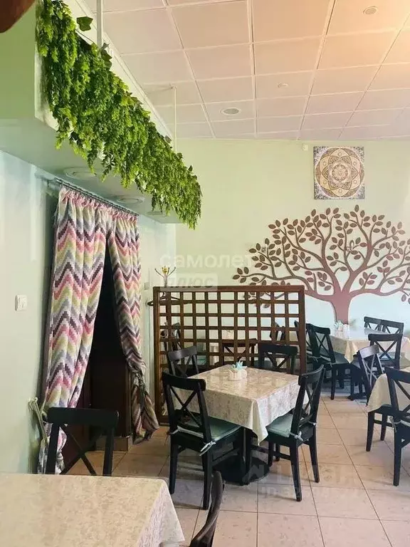 Помещение свободного назначения в Тюменская область, Тюмень ул. ... - Фото 1