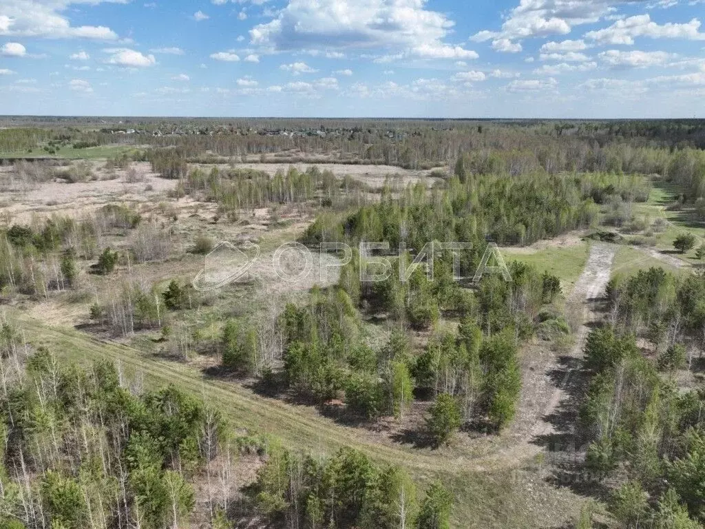 Участок в Тюменская область, Нижнетавдинский муниципальный округ, ... - Фото 0