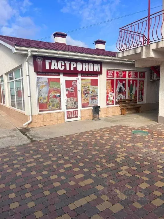 Торговая площадь в Крым, Евпатория городской округ, Заозерное пгт ул. ... - Фото 1