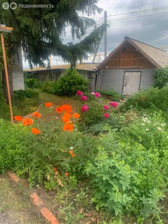 2-комнатная квартира: Беркут, Советская улица, 36 (48 м) - Фото 2