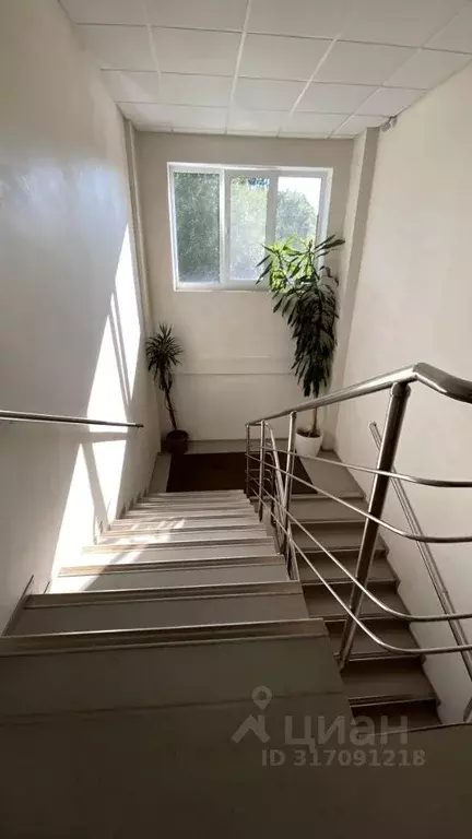 Помещение свободного назначения в Воронежская область, Воронеж ... - Фото 2