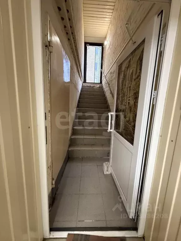 Торговая площадь в Архангельская область, Новодвинск пл. Ленина, 1 (63 ... - Фото 2