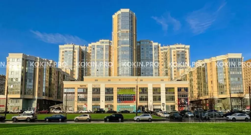 Студия Санкт-Петербург ул. Оптиков, 37 (22.8 м) - Фото 1