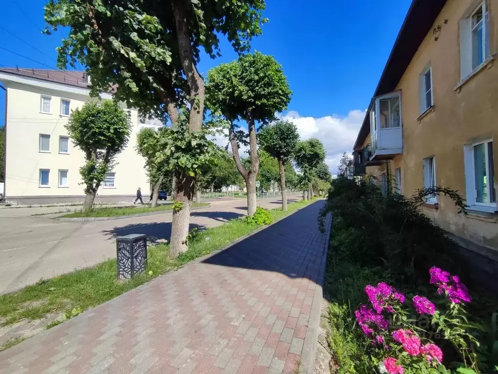 Комната Калининградская область, Светлый ул. Калинина, 11 (18.0 м) - Фото 1