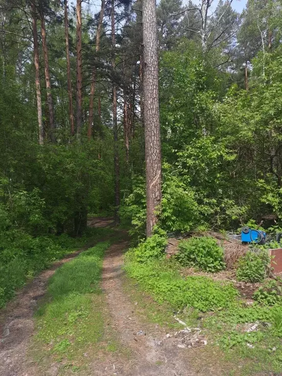 Дом в Новосибирская область, Новосибирск Лесное ш., 21 (76 м) - Фото 0