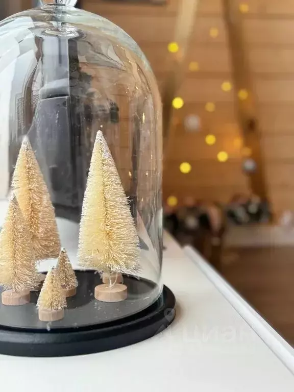 Дом в Московская область, Ступино городской округ, Мышенское ТСН ул. ... - Фото 1