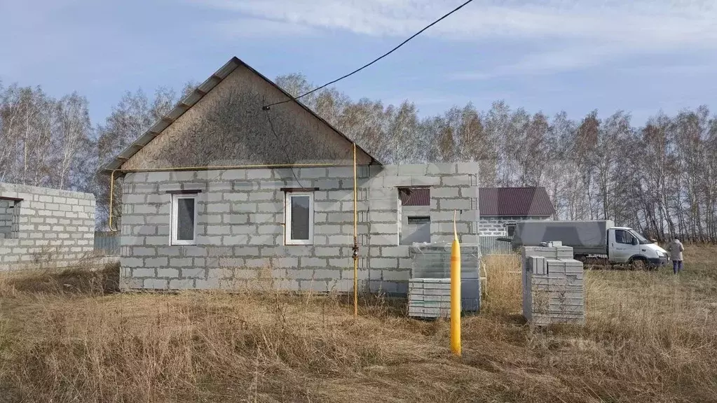 Дом в Омская область, Омский район, с. Усть-Заостровка ул. 25-я ... - Фото 0