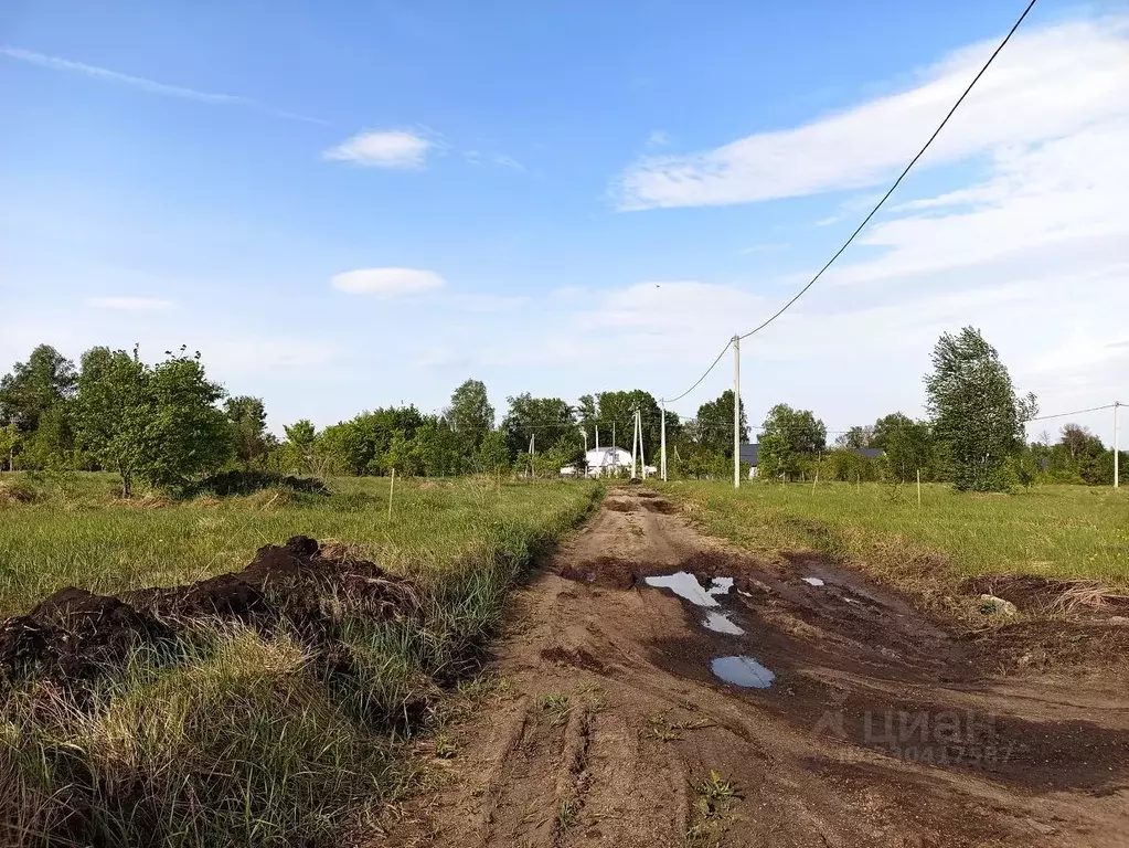 Участок в Пензенская область, с. Бессоновка проезд 3-й Российский ... - Фото 1
